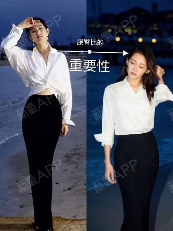 孤龙山百度版下载