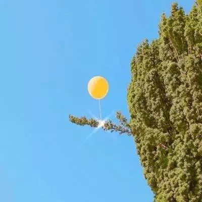 战姬天下bt版下载